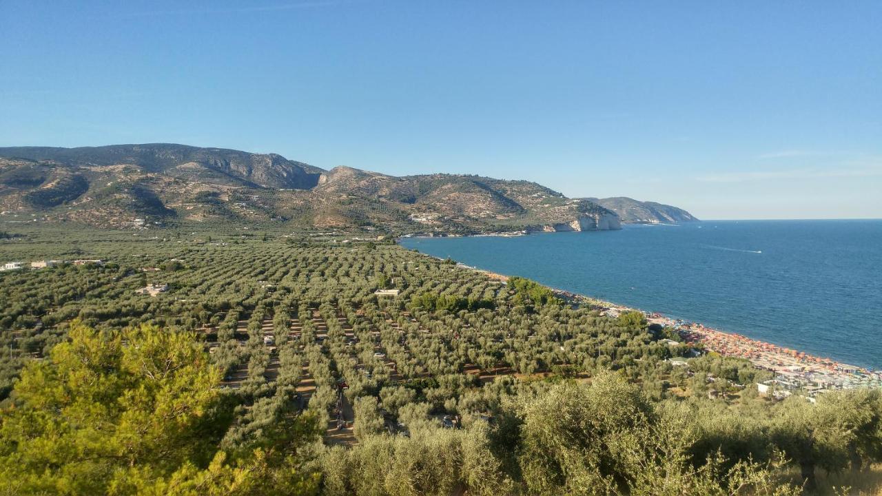 Villa Frantoio Матината Екстериор снимка